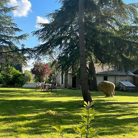 Maison De Charme Saint-Saturnin-sur-Loire Ngoại thất bức ảnh